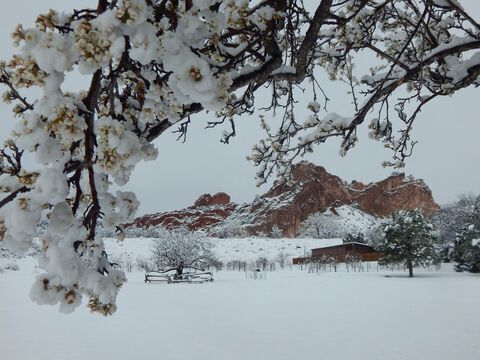 Garden of the Gods - Winter